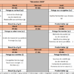 Décembre Neufvilles.